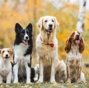 Company Picture